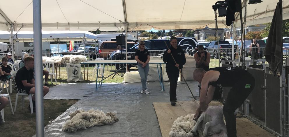 Shearing trainer Mouse O’Neill, of Alexandra, gives a demonstration. PHOTO: MARJORIE COOK