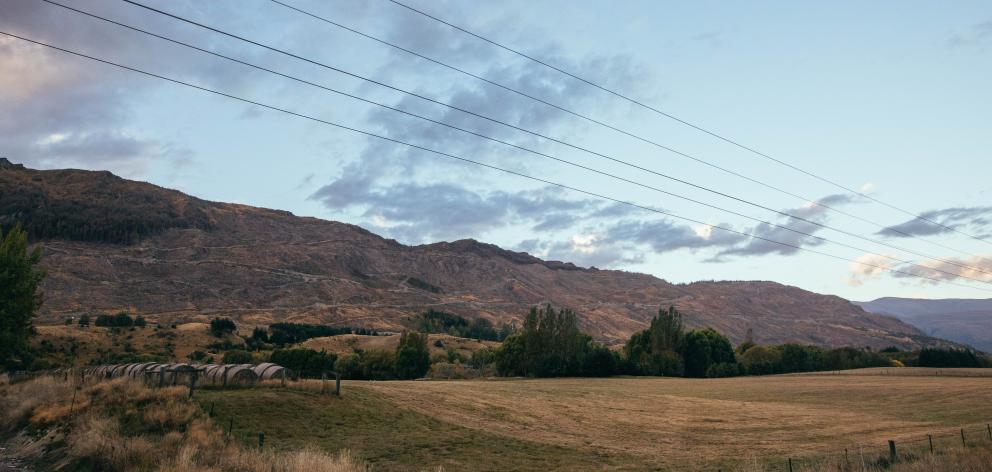 The site of the former Coronet Forest. PHOTO: SUPPLIED