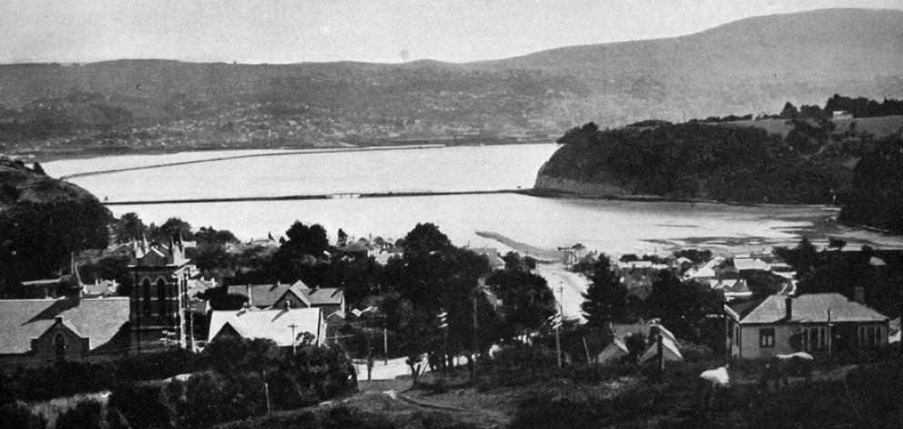 Dunedin from Andersons Bay. — Otago Witness, 11.3.1924 