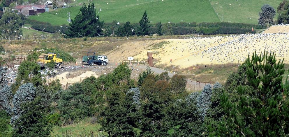 Green Island landfill. PHOTO: PETER MCINTOSH