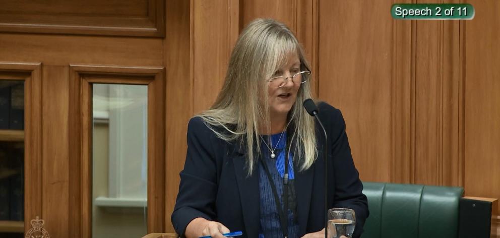 Penny Simmonds speaks at parliament on Wednesday. PHOTO: ODT FILES