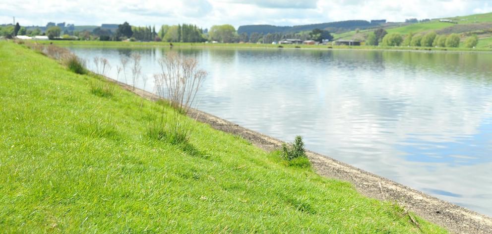 Lachie Jones was found dead at the Gore oxidation ponds in January 2019. Photo: ODT files