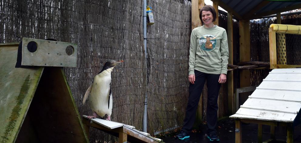Jordana Whyte, of the Dunedin Wildlife Hospital, wants the council to swoop in with some bridging...