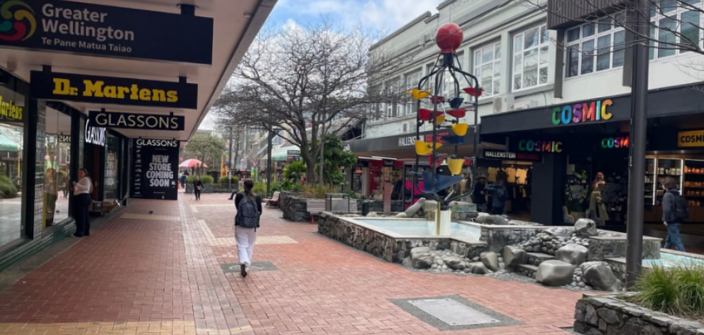 Cuba Street has lost its vibrancy, businesses say. Photo: RNZ