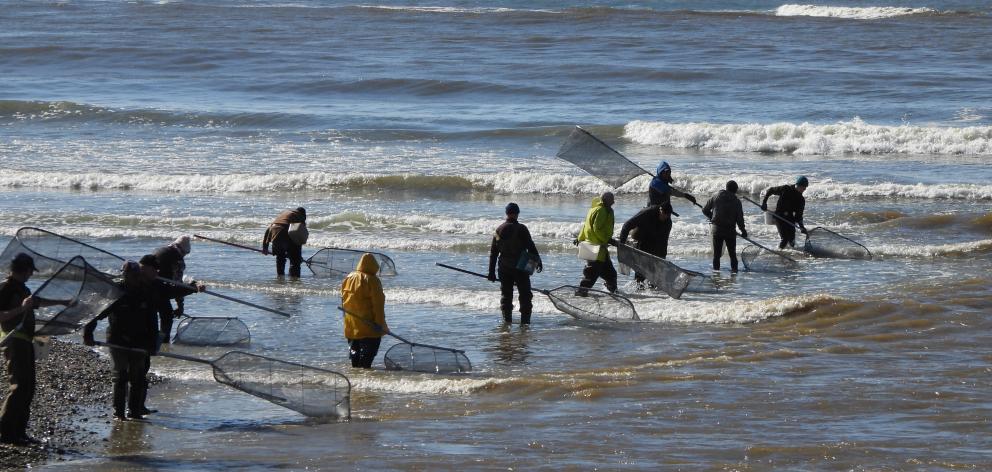 Keen Kakanui River whitebaiters line up at the mouth yesterday. PHOTO: BRENDON MCMAHON