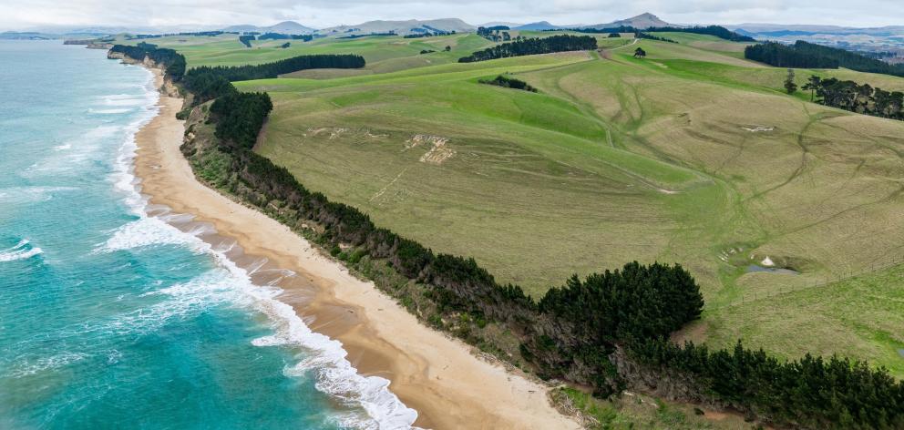 Coastal East Otago farm, Bushey Park, is on the market. PHOTO: BAYLEYS