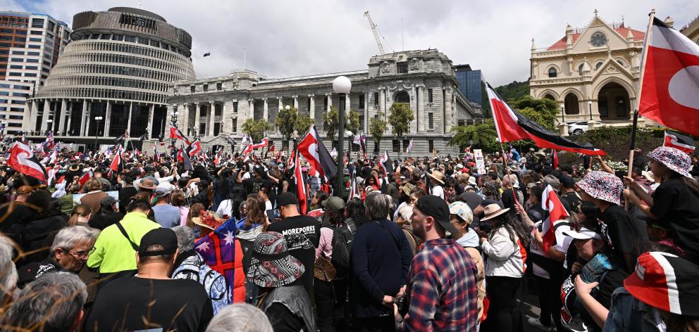 Treaty protesters at Parliament. PHOTO: RNZ