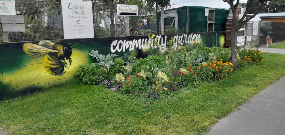 Edible Streets founder Zane Crofts has planted a food garden on the berm outside his Wainoni home...