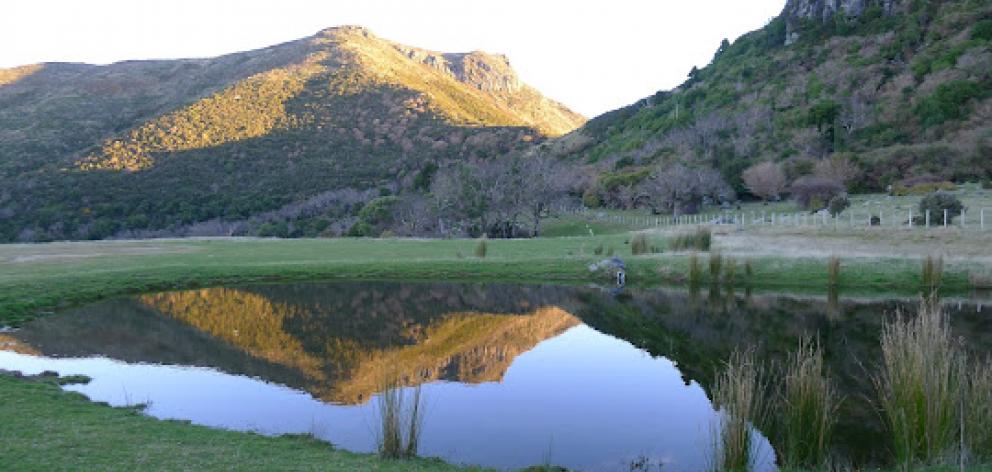 Hinewai Reserve. Photo: hinewai.org.nz