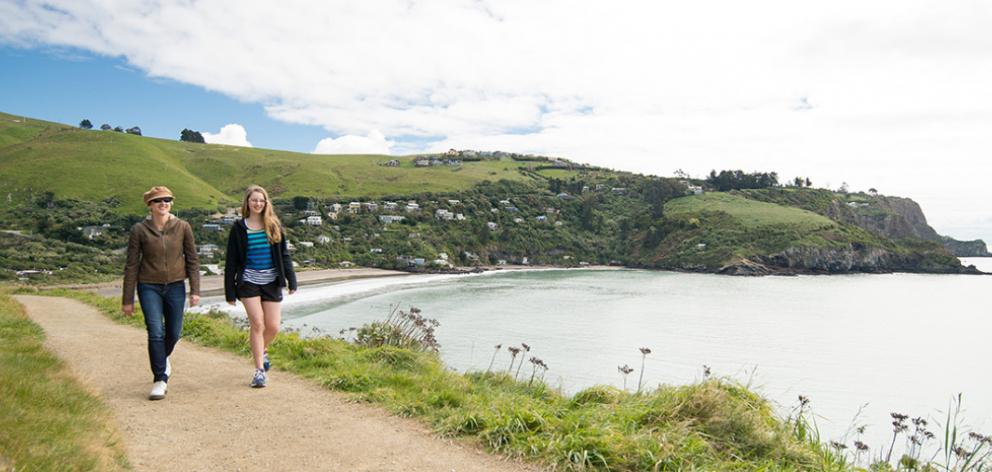 The Awaroa-Godley Head Loop Track. Photo: Christchurch City Council