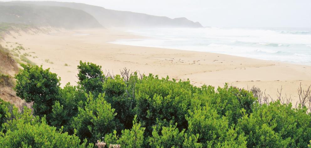 Johanna Beach.  PHOTO: LEE ATKINSON