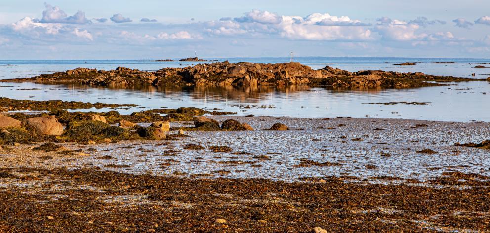 La Rocque is a good place to make the most of Jersey’s very low tides.