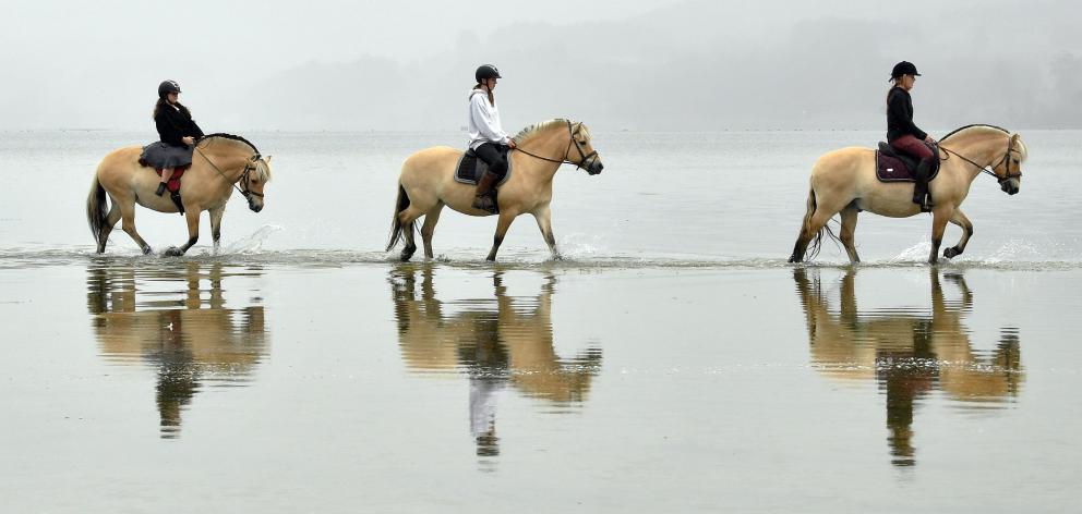 Riding Norwegian fjord  horses at a beach near Warrington yesterday  are (from left) Ariana...
