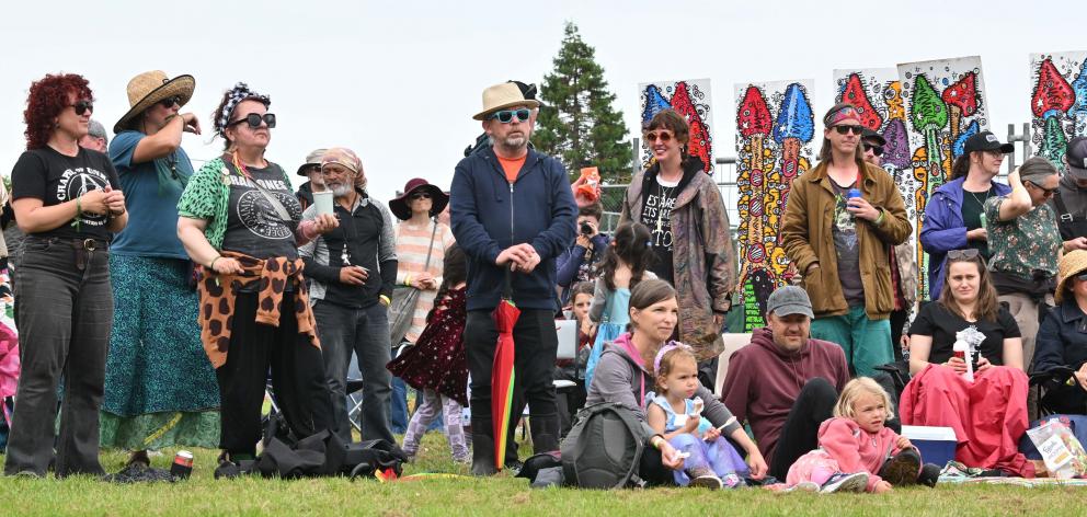 A colourful crowd enjoys the music.