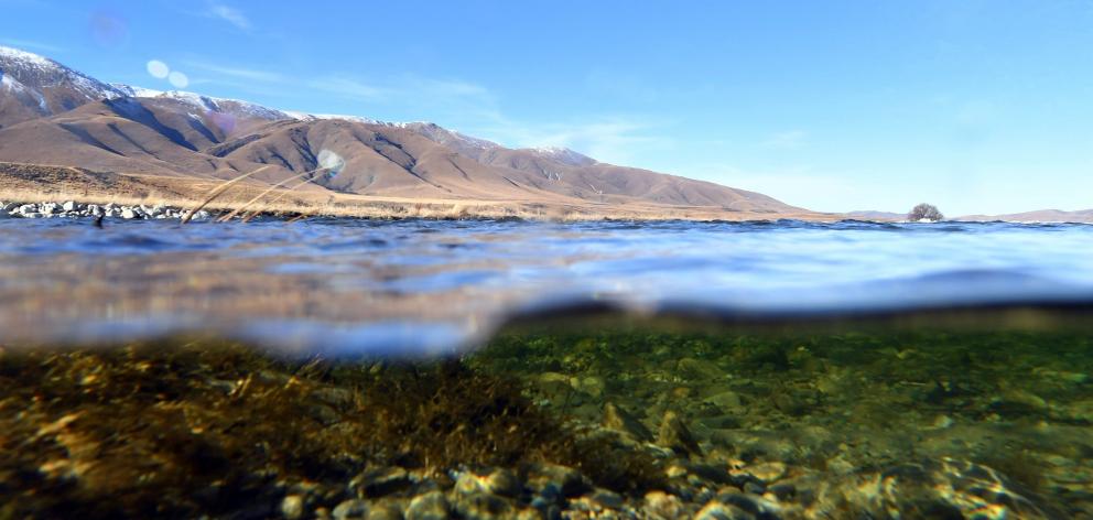 Cool, maybe clear water — The Manuherekia. PHOTO: STEPHEN JAQUIERY