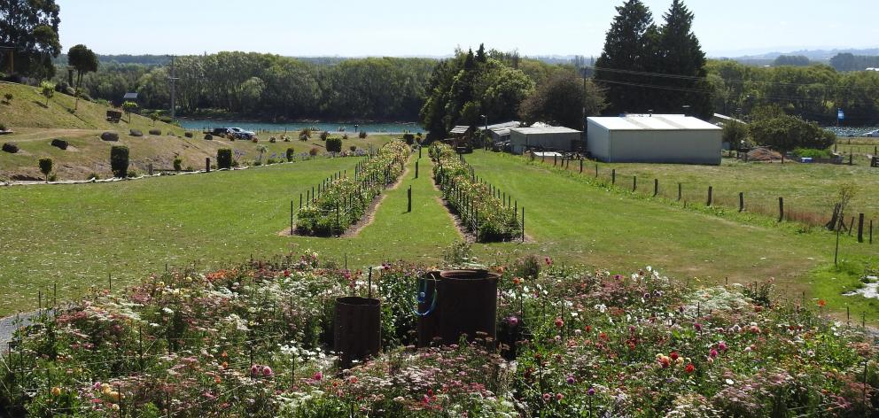 Long dahlia beds and a circular garden are designed to form the shape of a key.