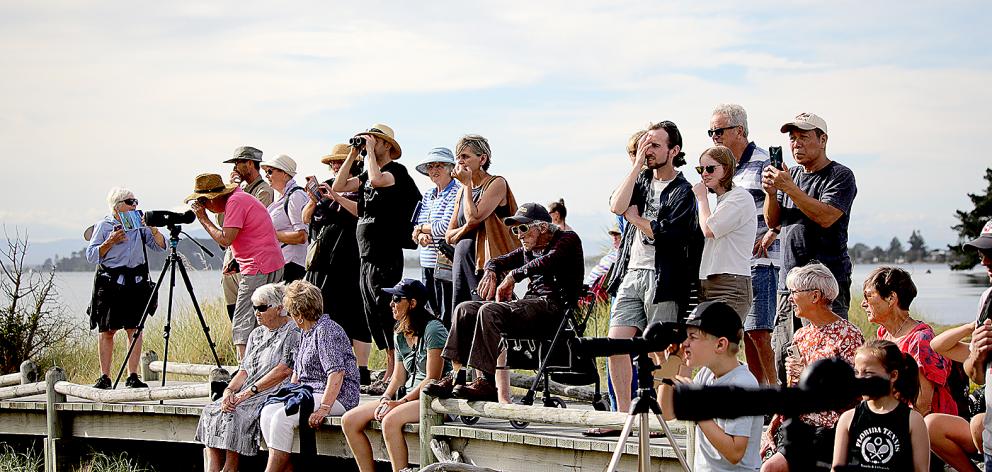 Bird watchers at last year's Farewell to the Godwits. Photo: Supplied