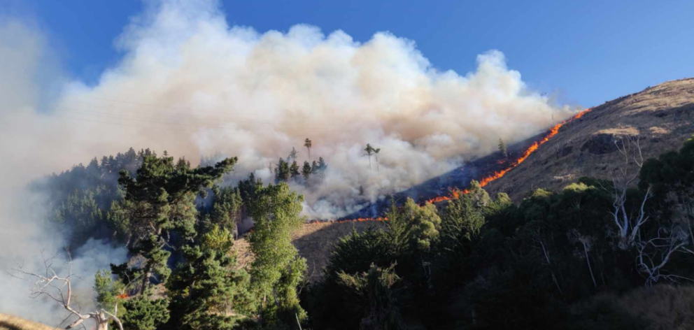 The 2024 Port Hills fire. Photo: Fire and Emergency NZ