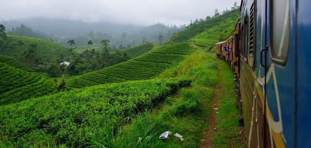 Training through the tea plantations. PHOTO: SUPPLIED