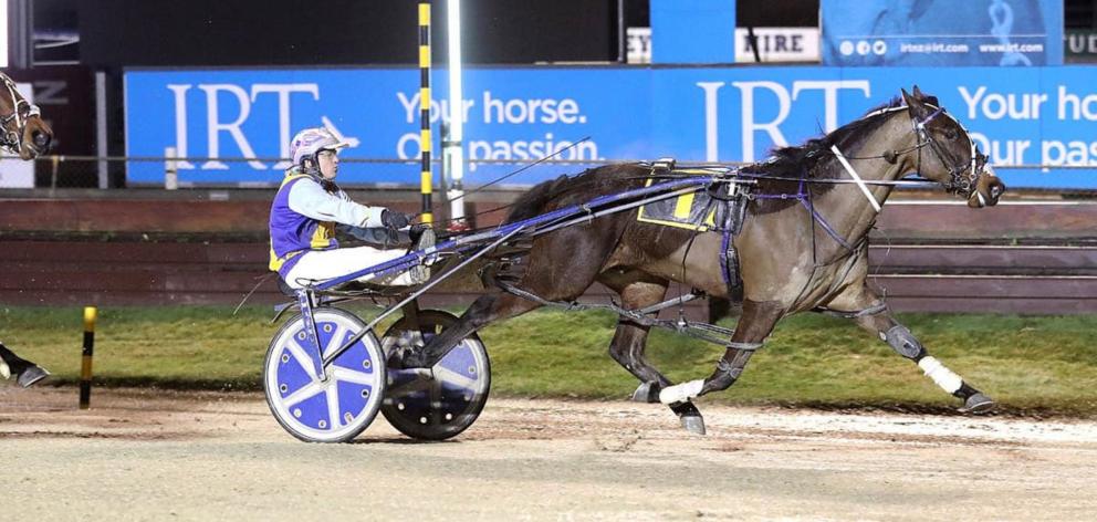 Betterthancash has the advantage of starting from the front line in the Autumn Cup. PHOTO: RACE...