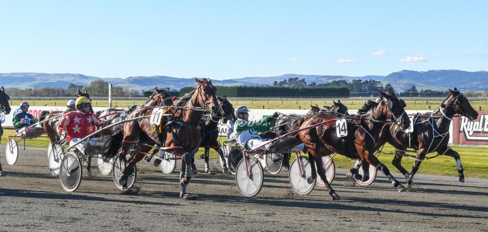 Harness racing at Central Southland Raceway in Winton. PHOTO: ODT FILES