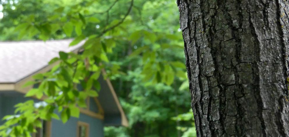 The sister invited her brother to move a cabin on to her property, but the dwelling (not pictured...