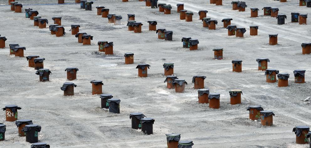 Some Dunedin piles await a hospital building. PHOTO: PETER MCINTOSH

