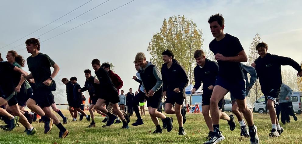 Year 13 runners are off on the Cromwell College cross country race. PHOTO: KIM BOWDEN