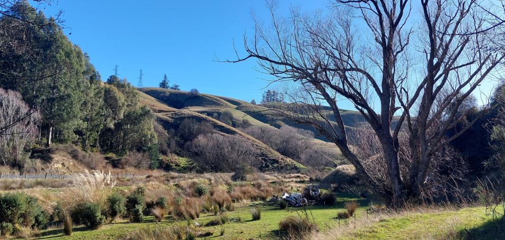 Gabriel’s Gully, the site of the country’s first payable gold discovery in 1861 - is now being...