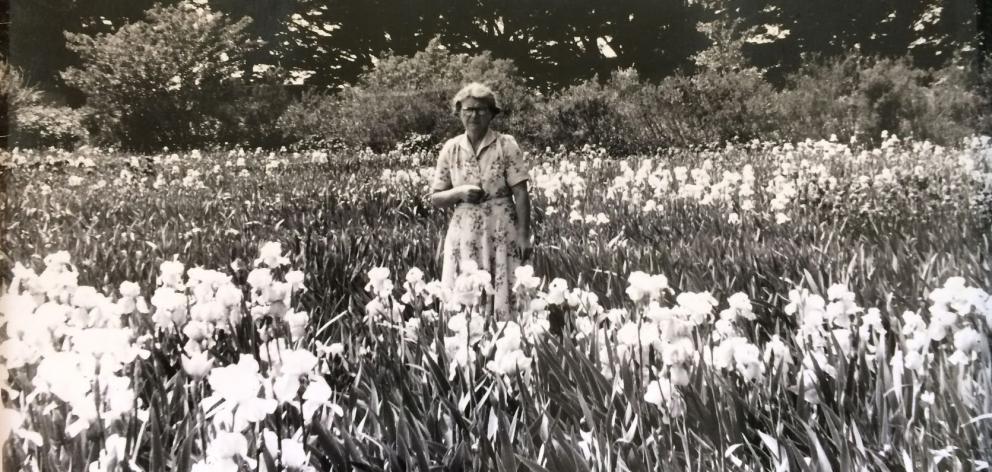 Jean Stevens and irises, 1955. PHOTO: SUPPLIED