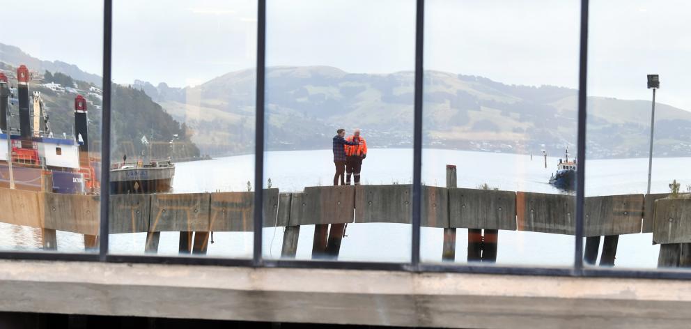 Two Dunedin residents try to spot the sleeping sea lion under the wharf.
