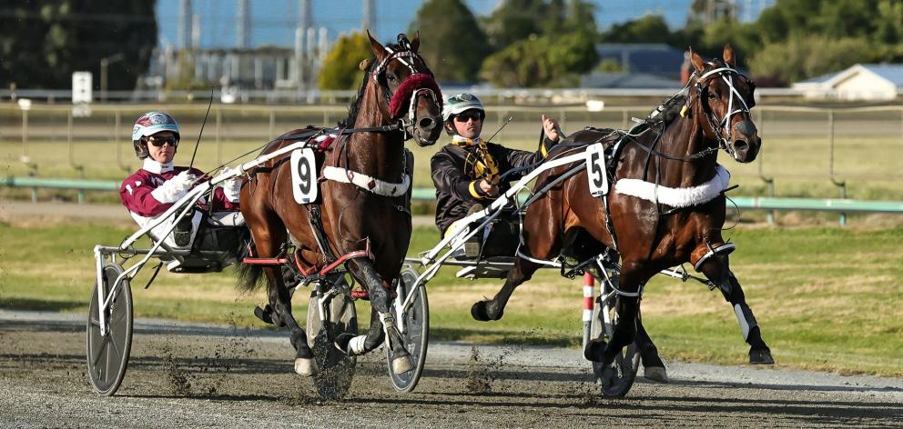 Republican Party and Carter Dalgety chase down The Lazarus Effect and Bob Butt in the group 1...