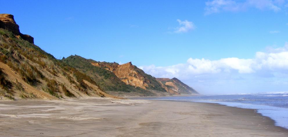 Ripirō Beach in Northland. Photo: Wikipedia