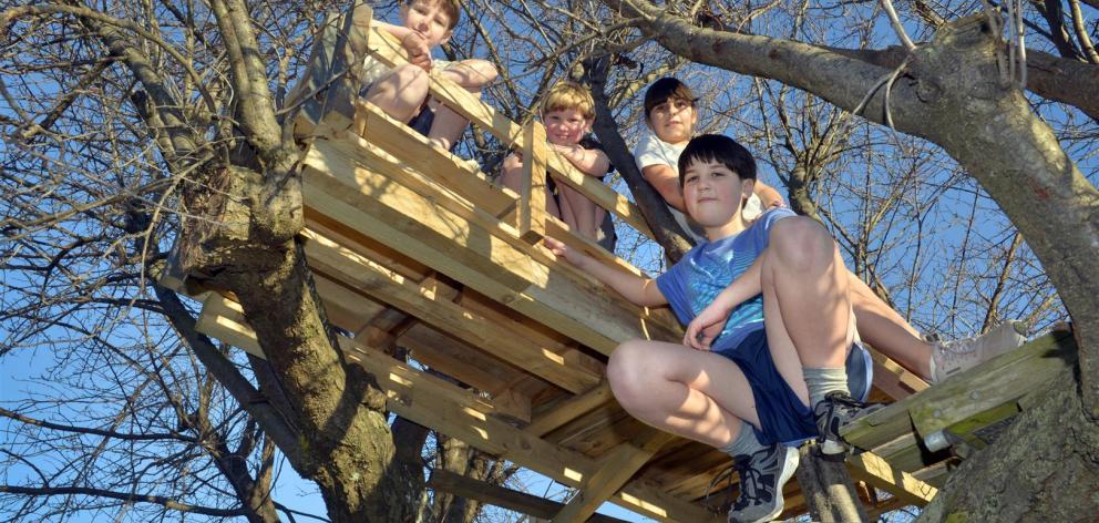 In the tree house are (from left to right) Devon Oke (10), Logan Oke (6), neighbour Emma Simpson ...