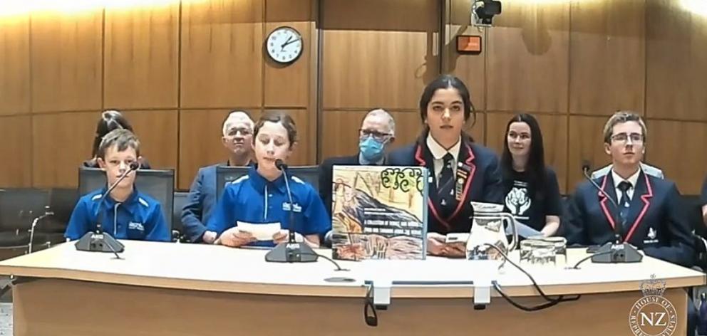 The people of the Waiau petition Parliament on behalf of their river. PHOTO: PARLIAMENT