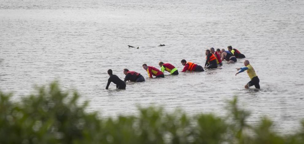 Searchers look for the woman who went missing after rescuing children in the Clive Rivermouth yesterday. Photo: NZ Herald
