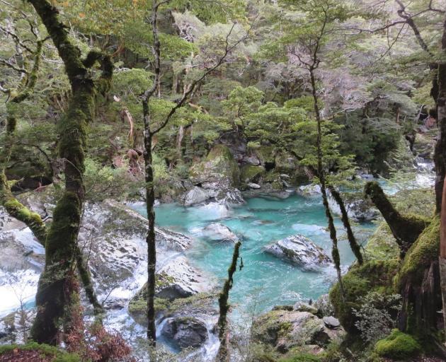 Crystal clear water of the Routeburn River. Photo: Alina Suchanski 