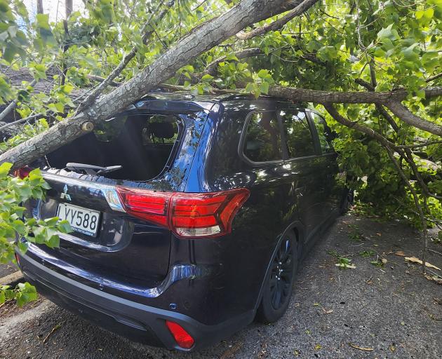 A car crushed by a falling tree in Butts Rd, Logan Park, Dunedin. Photo: Supplied