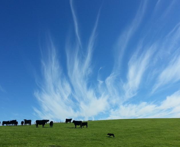 The changing — and spectacular — landscape of Landcorp-owned Waipori Station, which surrounds...