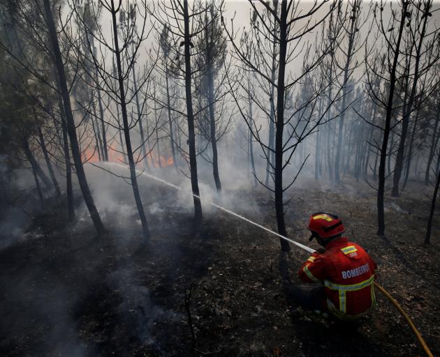 The fires have ravaged the central districts of Leiria and Castelo Branco. Photo: Reuters