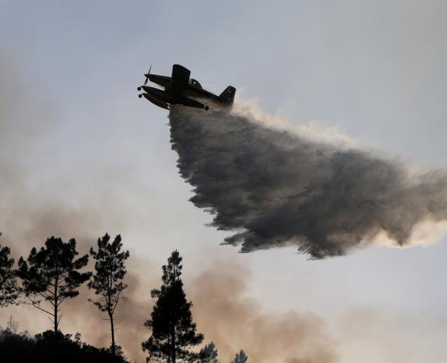 A plane dumps water on the forest fire in Mendeira. Photo: Reuters 