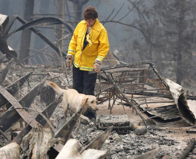 Karen Atkinson searches for human remains with her cadaver dog Echo in a house destroyed by the...