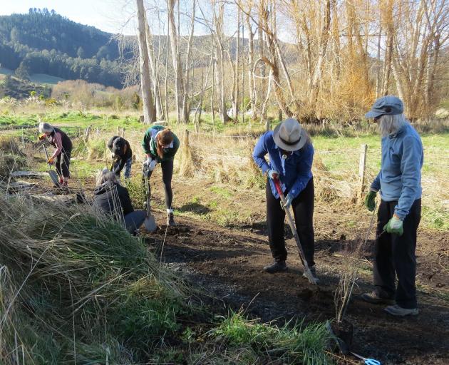 It's the first day of spring, and the volunteers are out planting near the estuary. 