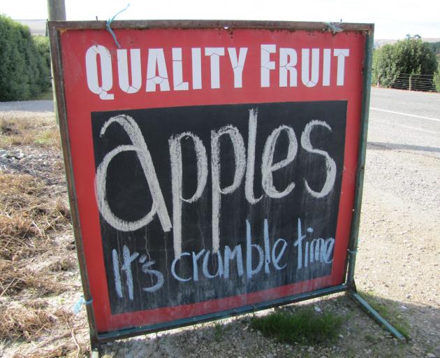 A sign advertises apples for sale in Coal Creek, on the other side of the CLutha River from the...