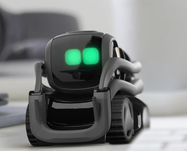 Vector, by Anki, is a friendly, inquisitive robot packed with artificial intelligence software. Photo: supplied 