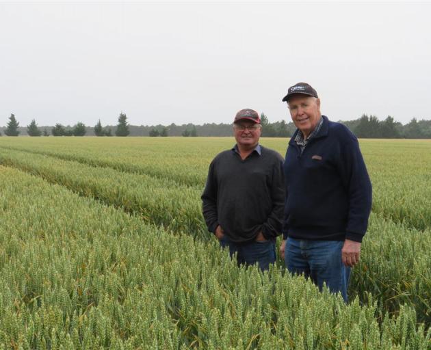 Anthony Hampton (left) and John Hall of Mid Canterbury Vintage Machinery Club check out the...