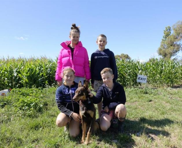 Ashburton Maize Maze kids back row left, Scarlett Hanrahan, Fergus Hanrahan, front row NellMarie...