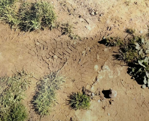 Footprints matching a pair of boots owned by John Beckenridge were found at the campsite where he...