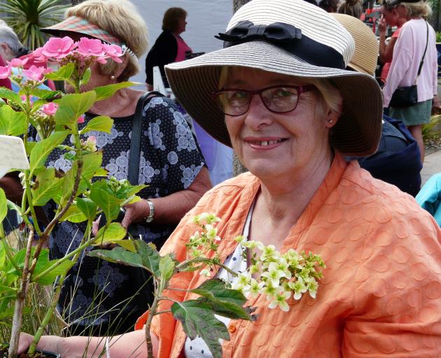 Dianne Begg. Photo: ODT files