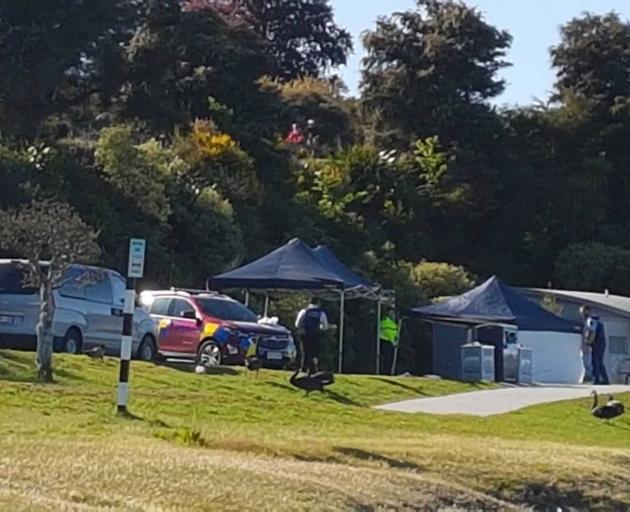 Investigations are underway after two bodies were discovered on the shore of Lake Taupō this...